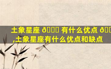 土象星座 🐘 有什么优点 🐠 ,土象星座有什么优点和缺点